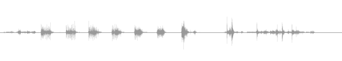 sound effect waveform