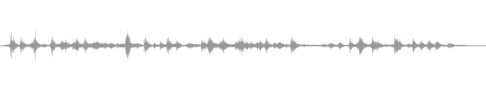Summer by Lake Bird Chirping | Sound Effect | Mp3 Wav Download