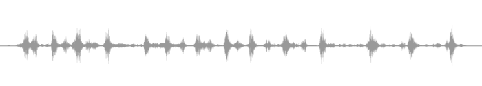 Birds Chirping 01 | Sound Effect | Mp3 Wav Download