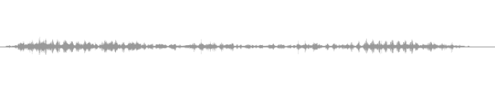 sound effect waveform