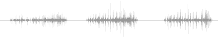 Cartoon Squeak Squeaky Squeaks | Sound Effect | Mp3 Wav Download